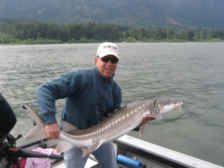 Sturgeon fishing on the Columbia