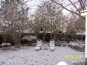 My Back Yard with More Freakin' Snow in April!