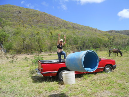 Watering Horses in St Lucia