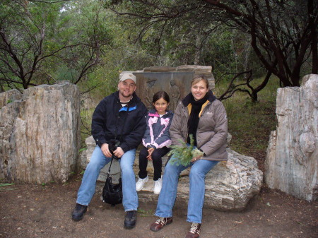 petrified forest napa valley california