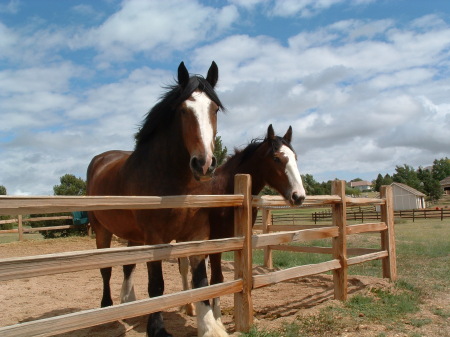 cappy&chief