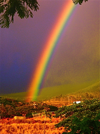 partial rainbow in our back yard