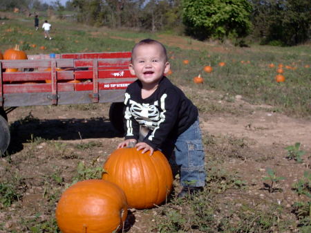 Izaac at the pumpkin patch