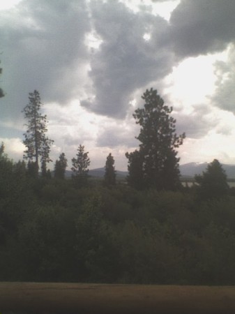 View from my deck