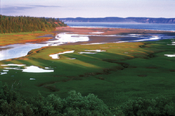 Land View Of Novia Scotia