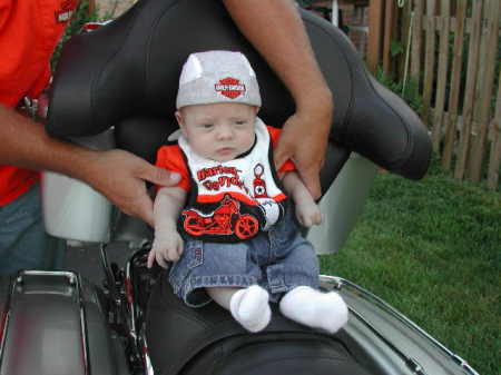 Joey 3 months on the Harley