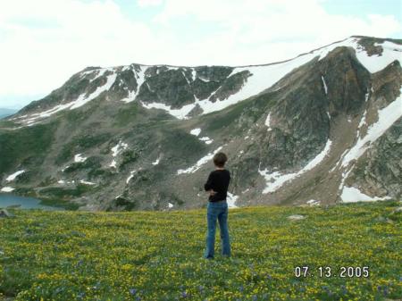 beartooth pass