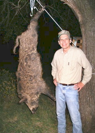 Feral Hog hunting