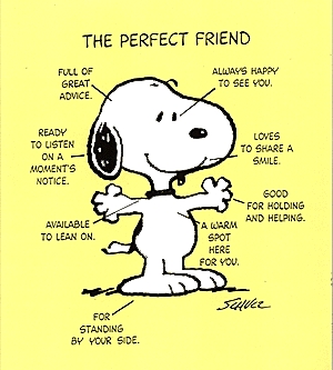 snoopy_the_perfect_friend