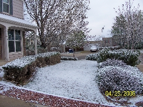 My House on April 25th, 2006 - It freakin' snowed!