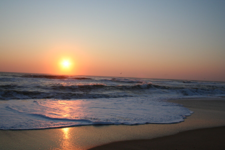 where i live in Nags Head North Carolina