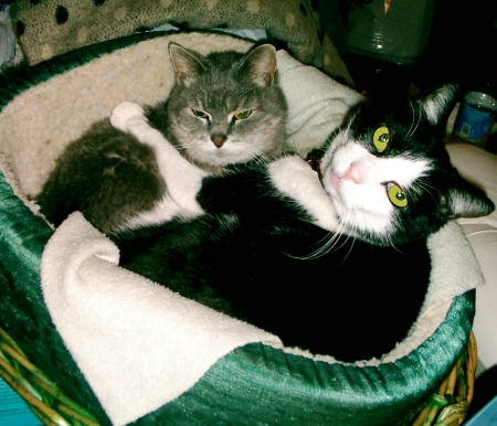 2 of our 3 Kits: Ruthie & Benji