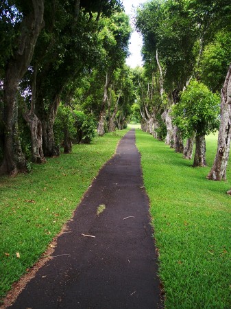 Walkway in Princeville