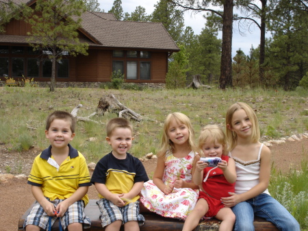 My boys and my nieces - Flagstaff AZ,July 2008