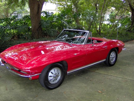 64 corvette