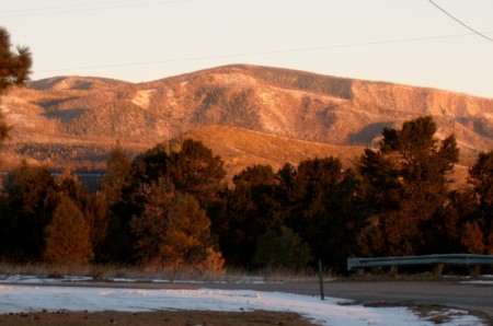 My back yard in New Mexico