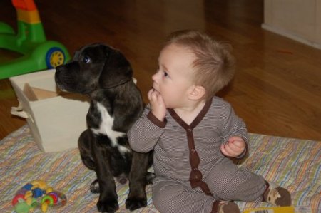 Noah and his puppy