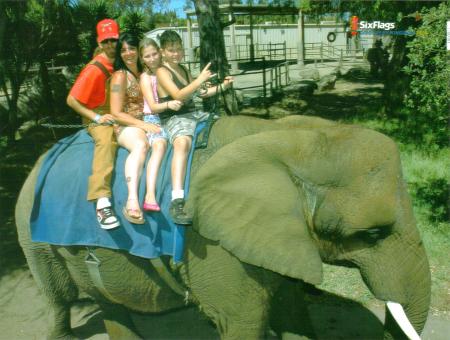elephant ride 001