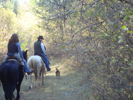 DOWN THE DUSTY TRAIL