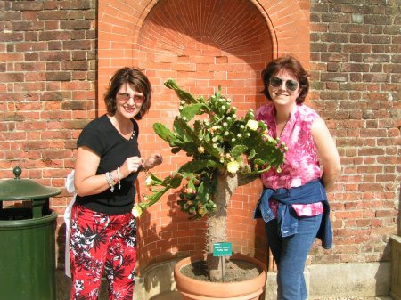 Ann & sister-in-law in English garden