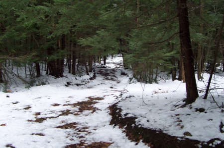 Logging road