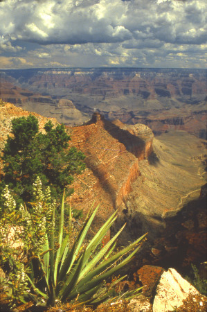 Grand Canyon