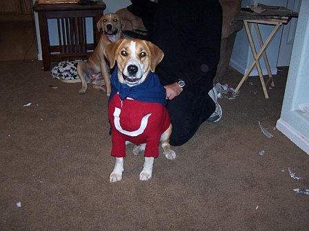 Jordan in his Halloween Costume