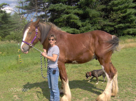 My 2 yr old Gentle Giant-Gunner