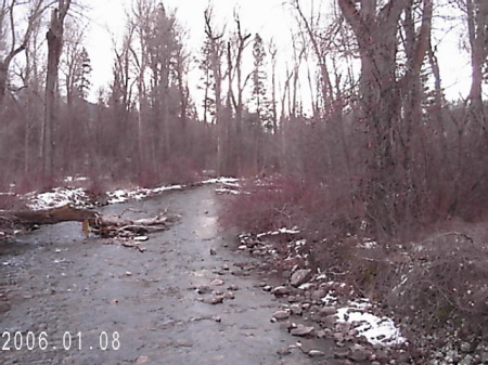 Rattlesnake Creek-2 blocks from my house in Missoula