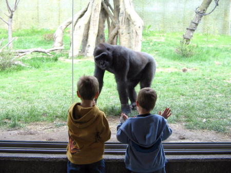 At the Omaha Zoo