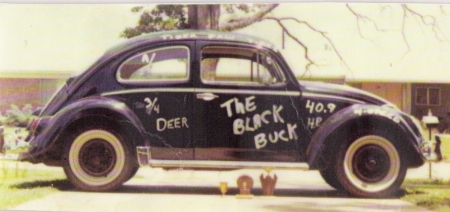 "The Black Buck"