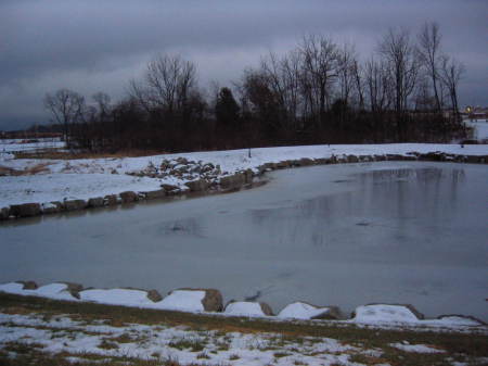 pond froze over