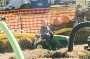 Austin at Relleke's Pumpkin Farm