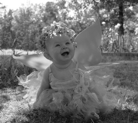 Little Fairy