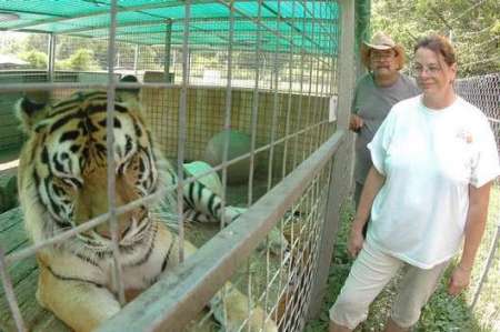 Tiger Rescue Center