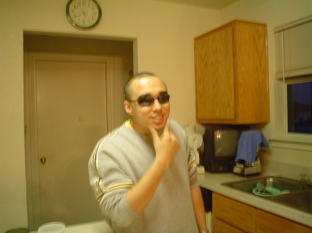 shades 2004