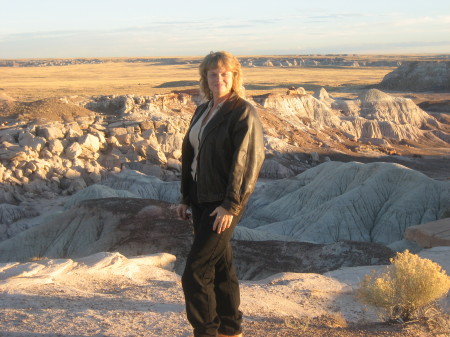 ME...AT PAINTED DESERT