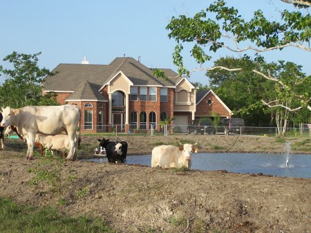 The new house in Texas