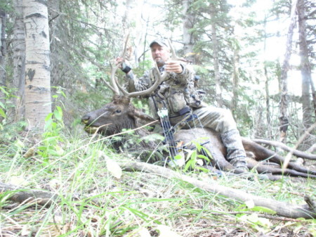 2008 Elk - Colorado