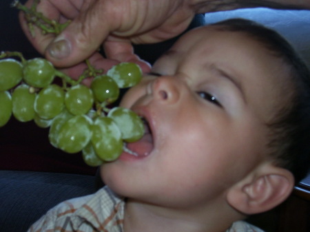 John loves fruit