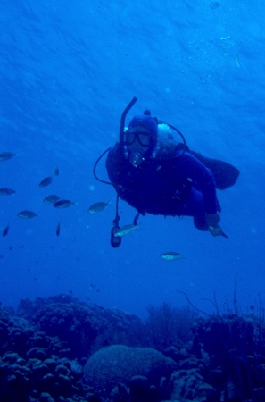 Below Belize