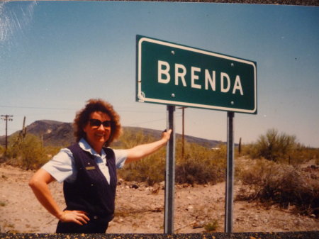 THIS IS THE TOWN OF BRENDA, AZ.  POPULATION 11