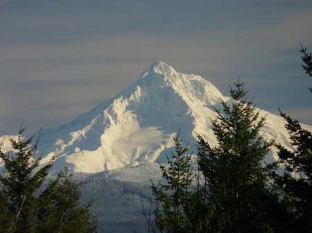 Mt Hood