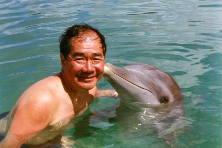 Playing with Dolphins