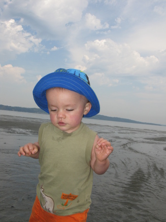 Day at Dash Point SP