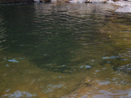 Jacks creek swimming hole 2005