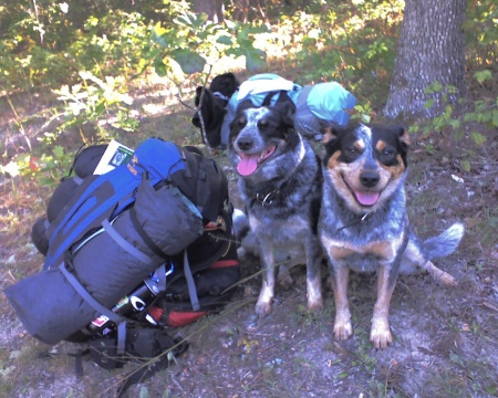 Hiking with my Boys