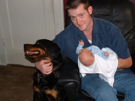 Justin, James, Jake (rottweiler)