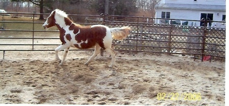 lilly mae running