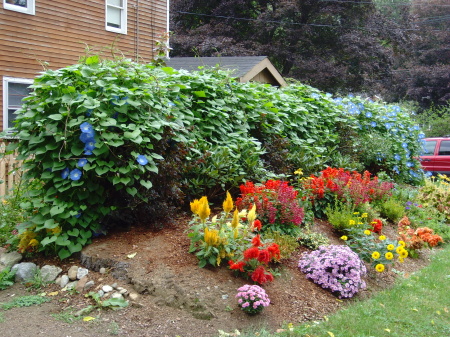 2007 - addition to garden
